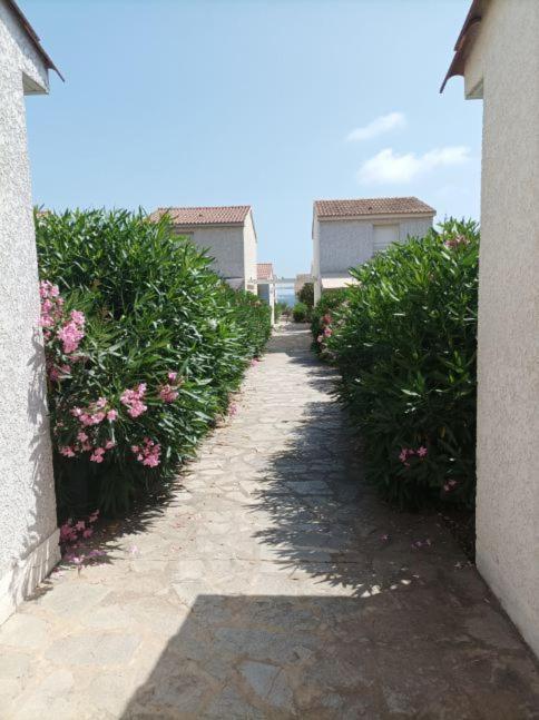 Villa Climatisee A Nuciola Prunete Entre Mer, Montagne Et Piscine Cervione Exterior foto