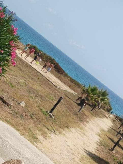 Villa Climatisee A Nuciola Prunete Entre Mer, Montagne Et Piscine Cervione Exterior foto