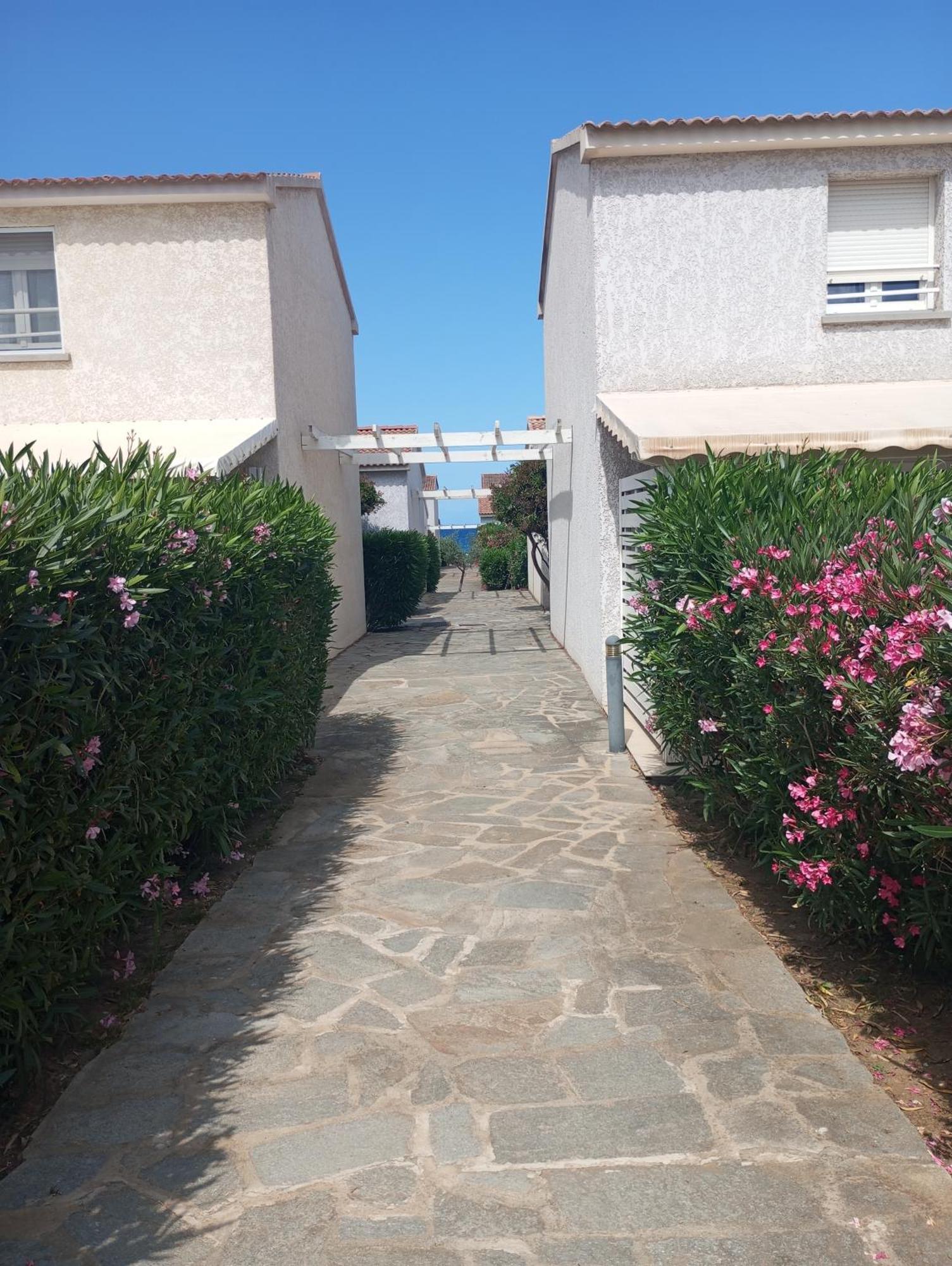 Villa Climatisee A Nuciola Prunete Entre Mer, Montagne Et Piscine Cervione Exterior foto