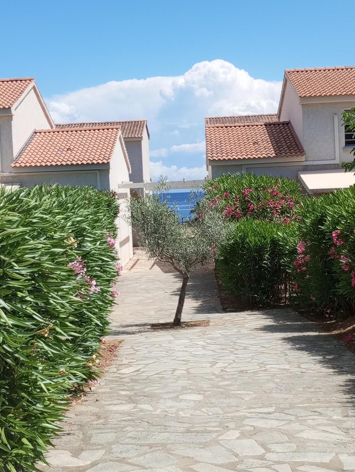 Villa Climatisee A Nuciola Prunete Entre Mer, Montagne Et Piscine Cervione Exterior foto