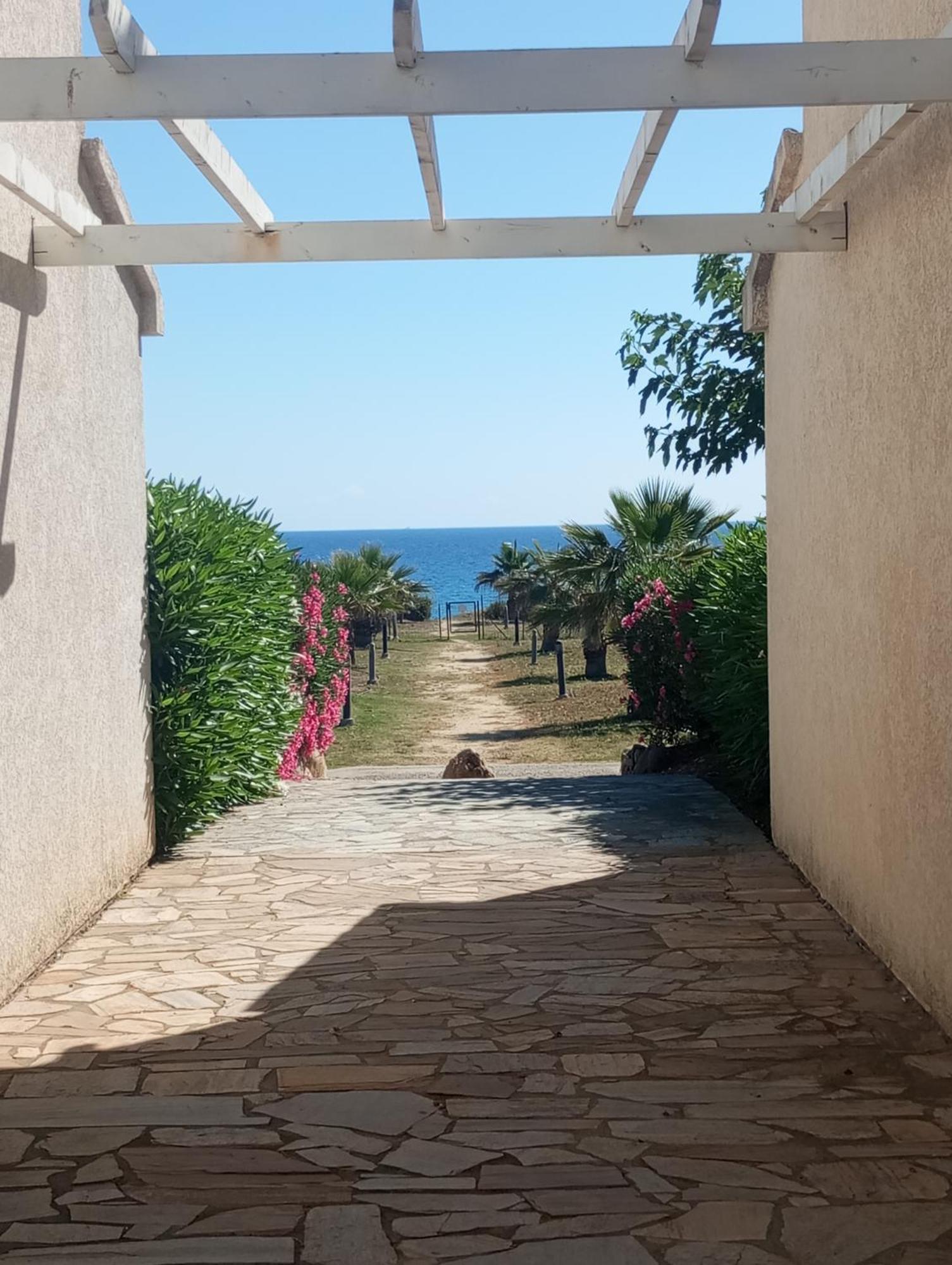 Villa Climatisee A Nuciola Prunete Entre Mer, Montagne Et Piscine Cervione Exterior foto